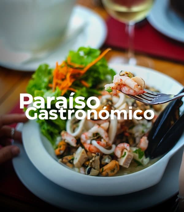 Paraíso Gastronómico Valparaíso Región