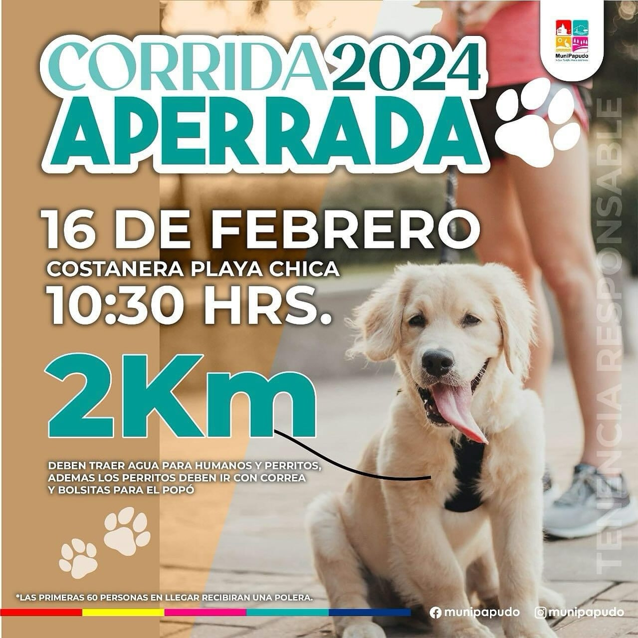 Corrida Aperrada 2024 - Papudo - Valparaíso Región