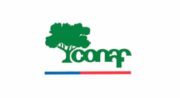 Logo Conaf