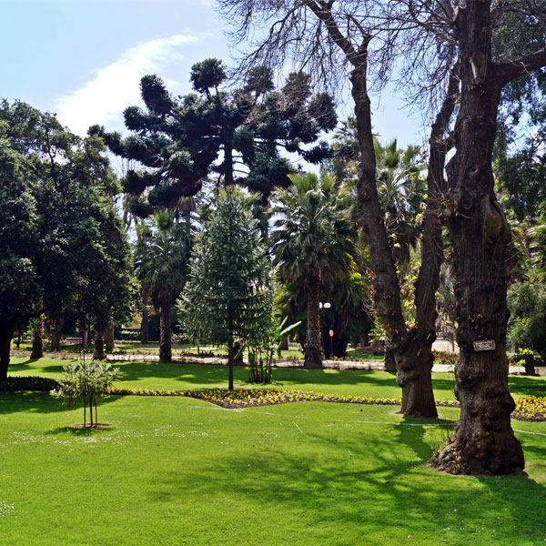 Valparaíso Región Accesible, Parque Quinta Vergara, Viña del Mar